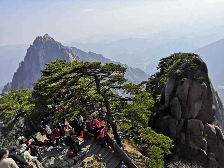 大美黄山奇松怪石