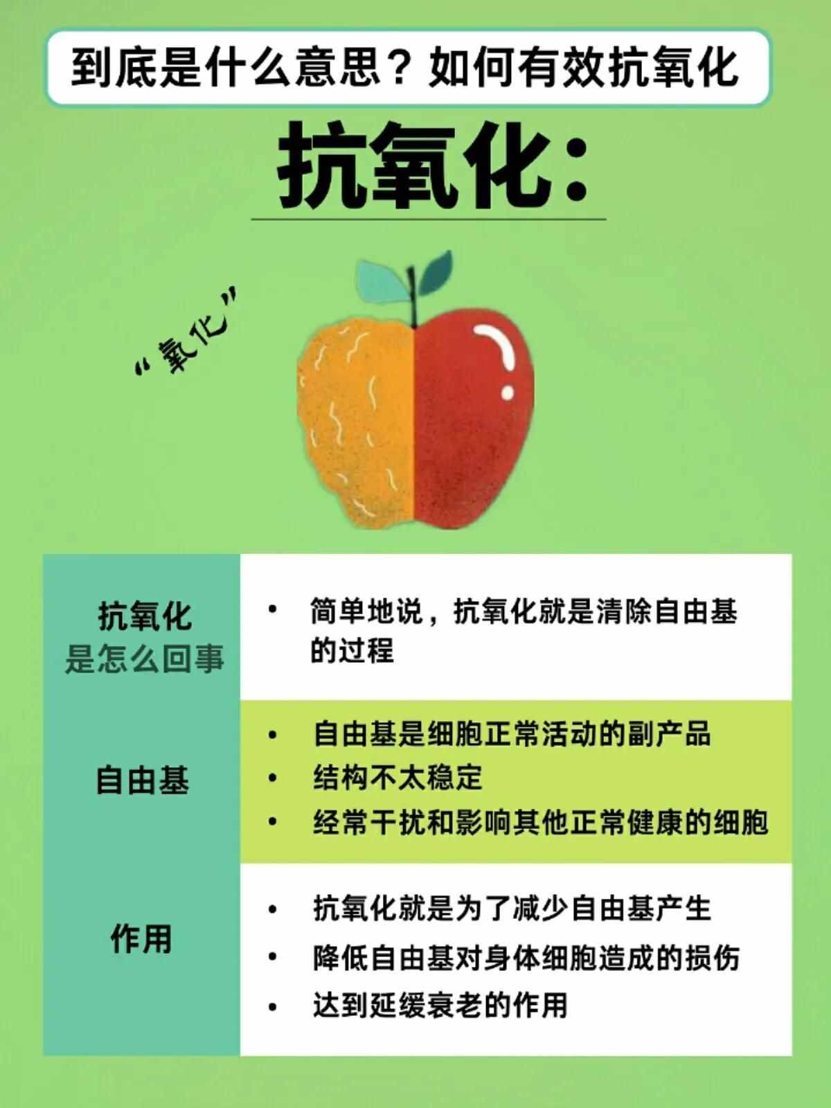 抗氧化是什么意思（抗氧化）