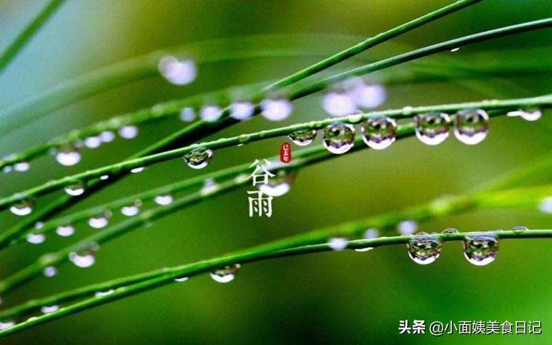 明天谷雨，别忘吃这6种美食，调脾胃去湿气，应季而食平安入夏