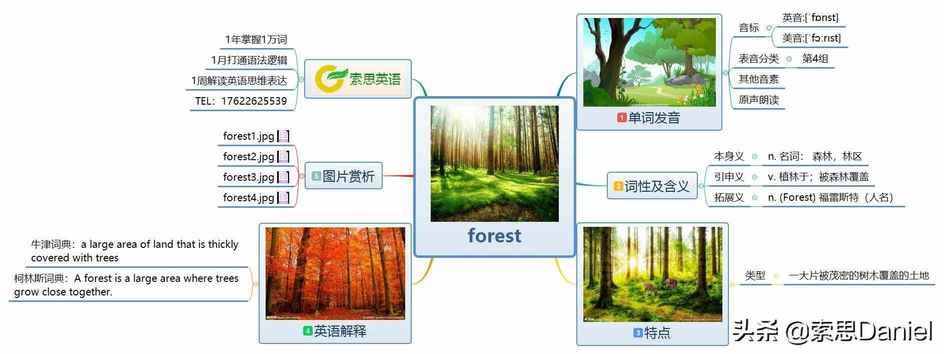 索思英语解码单词（第229个）——forest森林