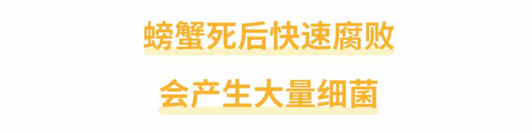 螃蟹死了还能吃吗？“死海鲜”对身体有没有害？