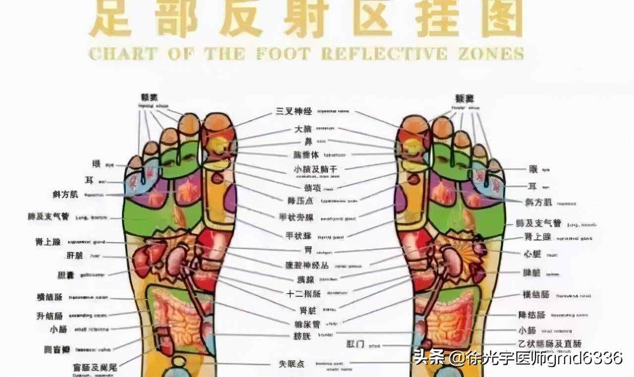 久等了，甲状腺的中医调理之法来啦