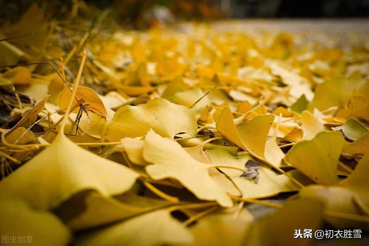 最美秋词：黄叶无风自落，彩云不雨空归，背后有一则凄婉故事