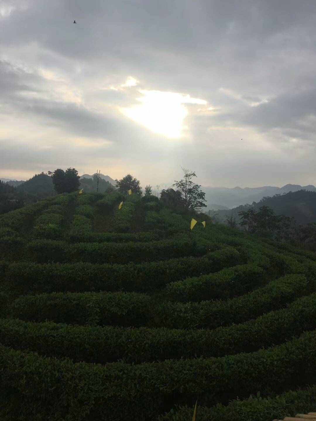 过去的日子如轻烟