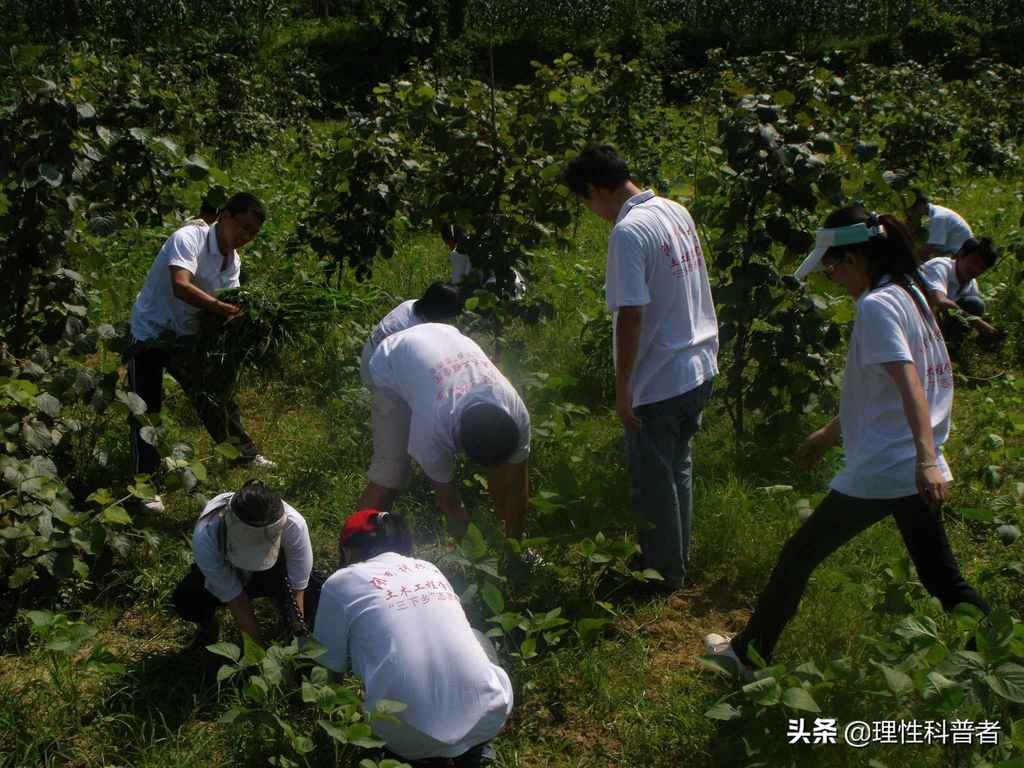 社会实践活动有哪些。小学生、中学生、大学生、老师、家长必看