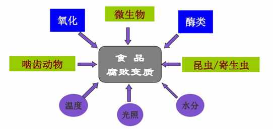 食品保存的技术理论——栅栏技术