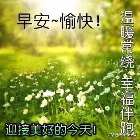 朋友祝福短语（朋友圈温馨祝福语慰问朋友的暖心句子）