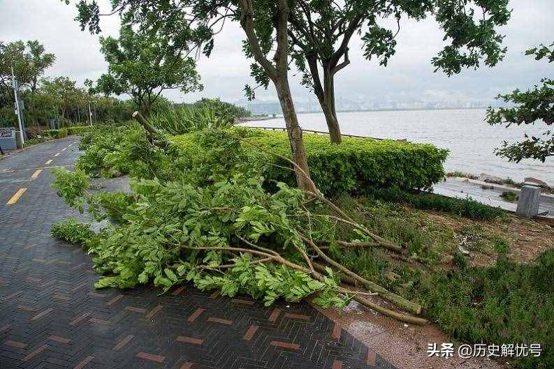 缅怀余光中，莫言仿照《乡愁》写下一节诗，短短4句赢得满堂喝彩