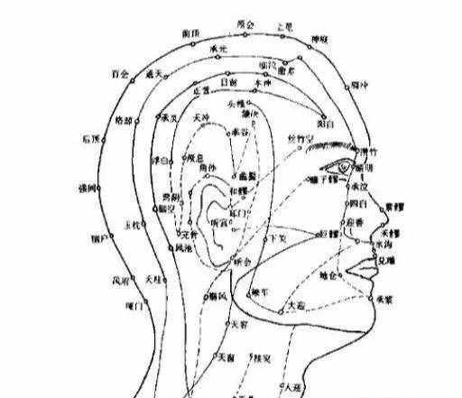 人体穴位图，从头到脚都标的一清二楚