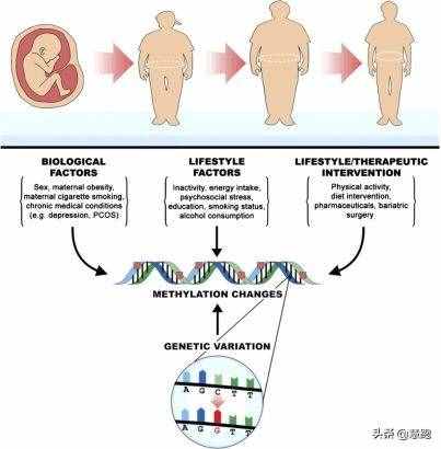 最新大数据研究证实：跑步是最有效的减肥运动，无论你是何种体质