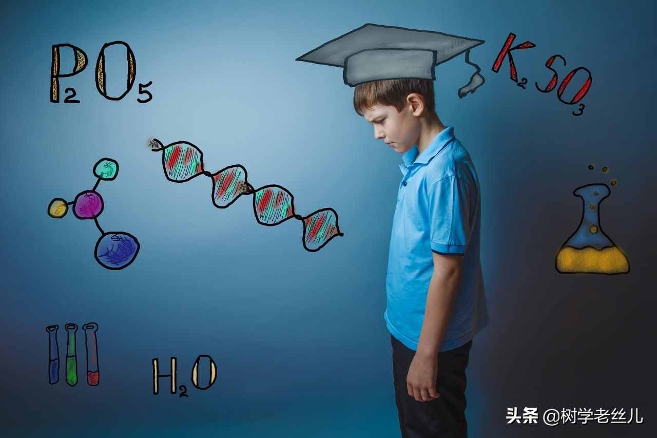 初中生的学习方法（初中生的学习）