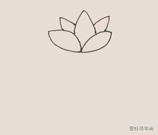 荷花简笔画