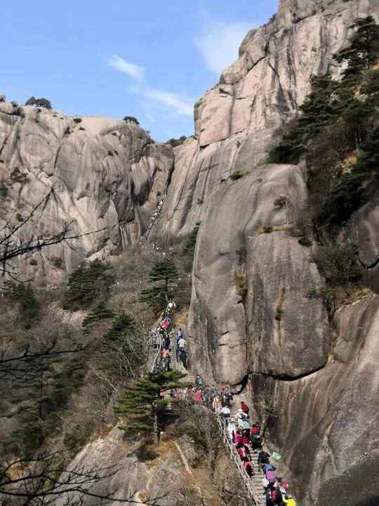 大美黄山奇松怪石