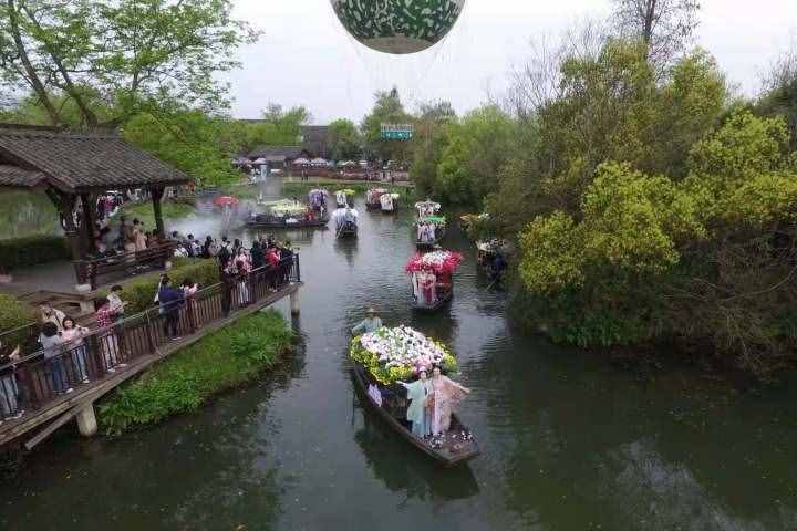 美了美了！又是一年花朝节，西溪湿地进入浪漫花季