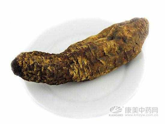 锁阳与肉苁蓉有什么区别?