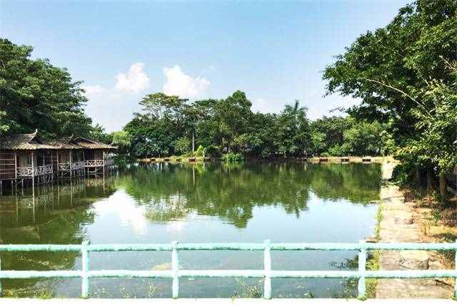 在惠州这家度假村，住在悬在湖边的小木屋是什么样的体验