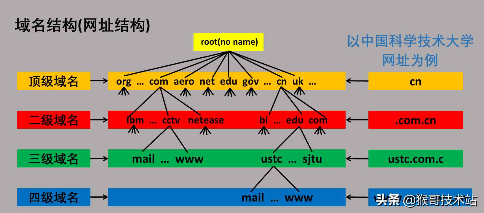 一文看懂：网址，URL，域名，IP地址，DNS，域名解析