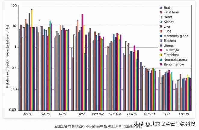 您的qPCR内参选对了吗？