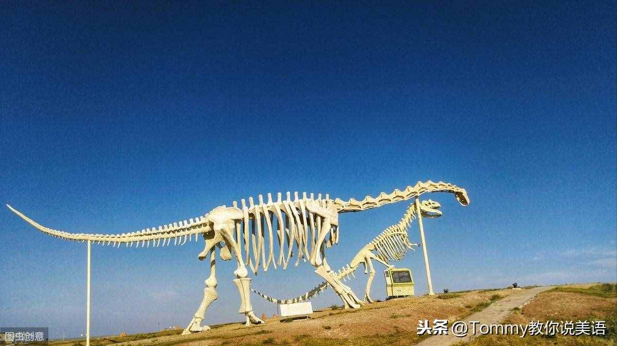 15秒记一个单词（第2079个）dinosaur