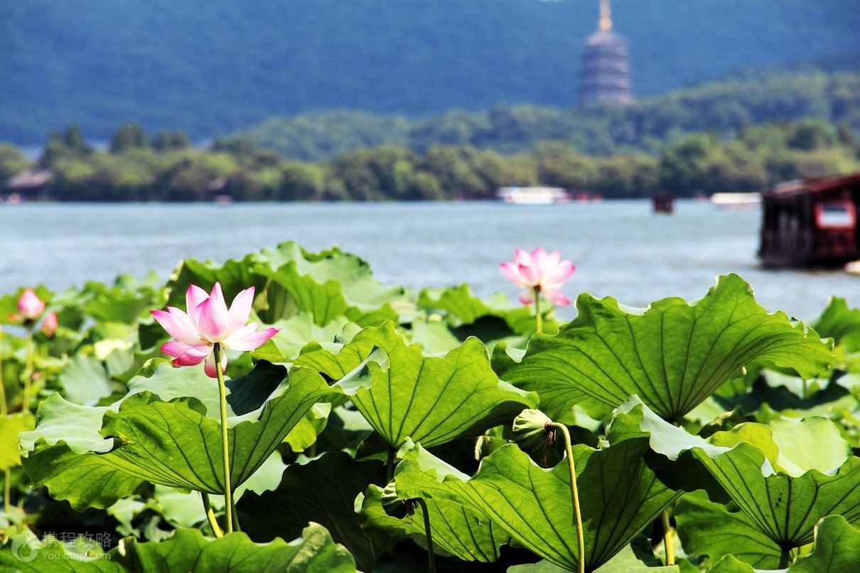 西湖不止杭州有：中国有36个西湖，日本越南也有西湖