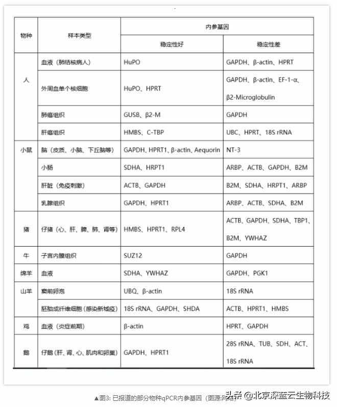 您的qPCR内参选对了吗？