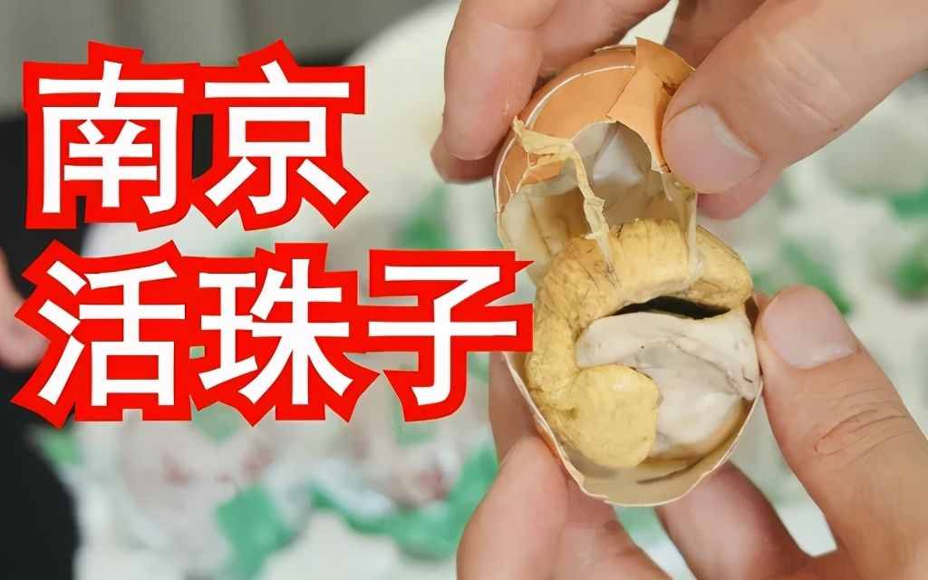 在南京尝了一口活珠子，差点就想重新投胎