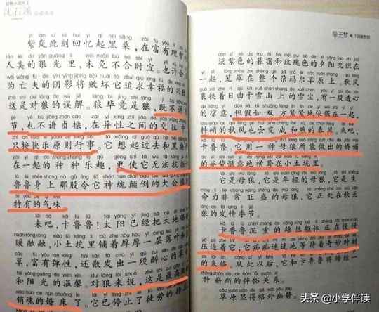 哪些书不必读？“六类黑书单”青少年已入坑，快餐文学老师很反感