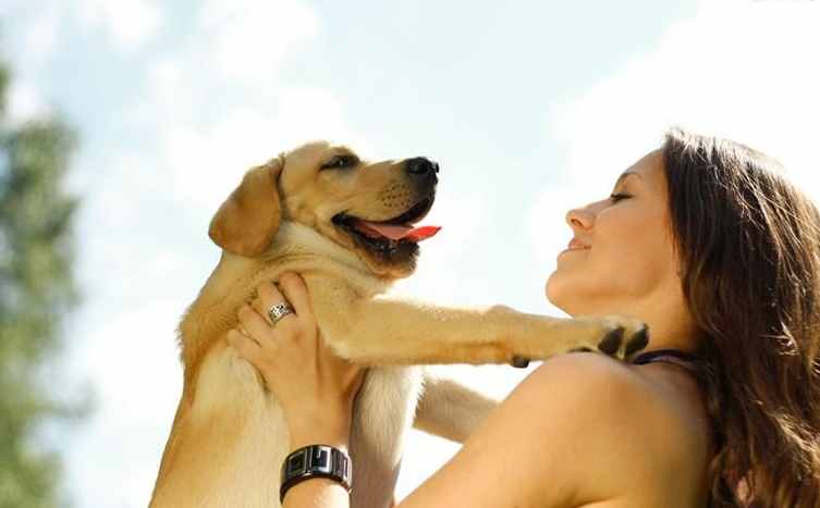 狗狗有这几个特征，说明在你家过得很“幸福”