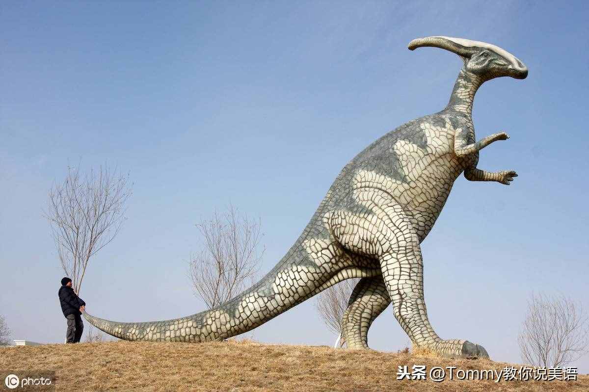 15秒记一个单词（第2079个）dinosaur