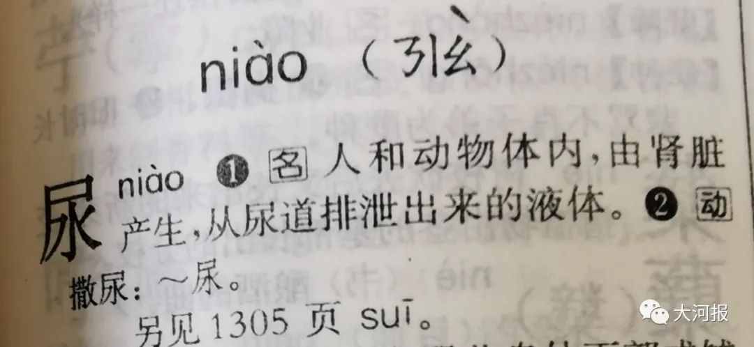 啥？“尿尿”的正确读音不是“niào niào”？？都冲上热搜了