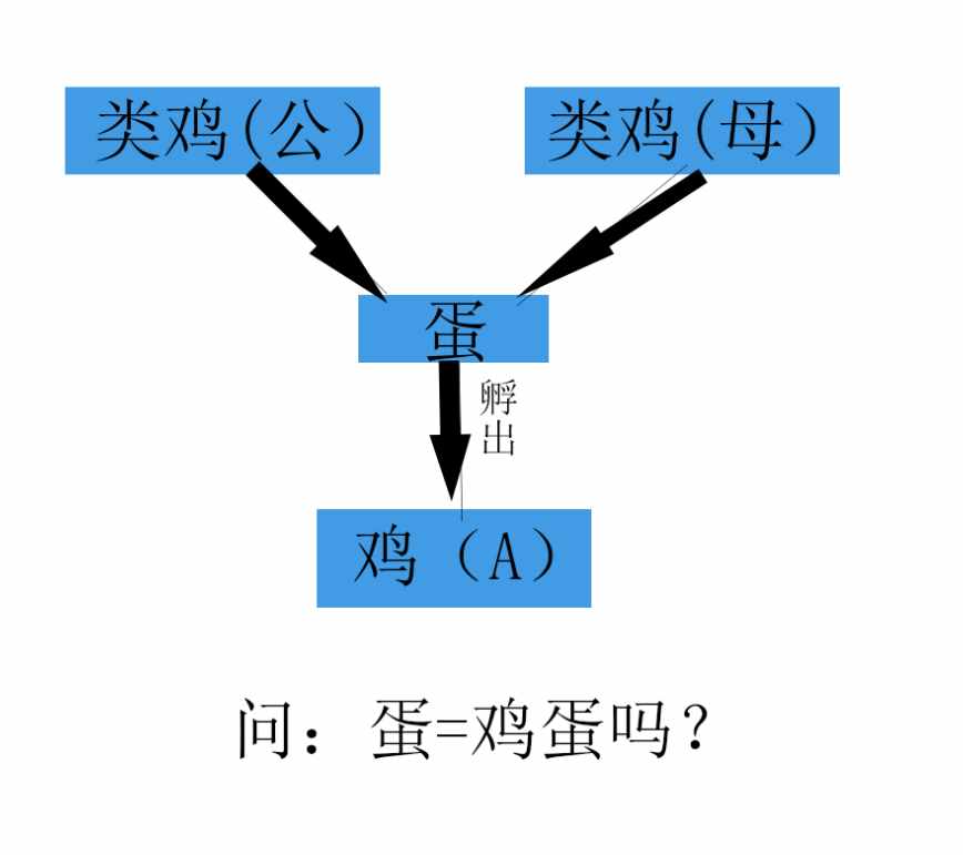 先有鸡还是先有蛋？