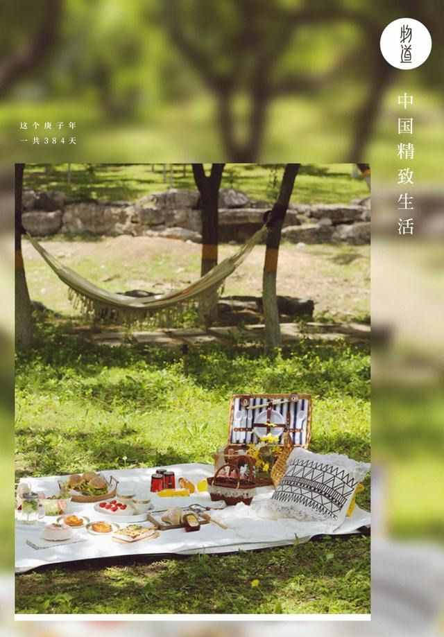 picnic是什么意思（picnic意思）