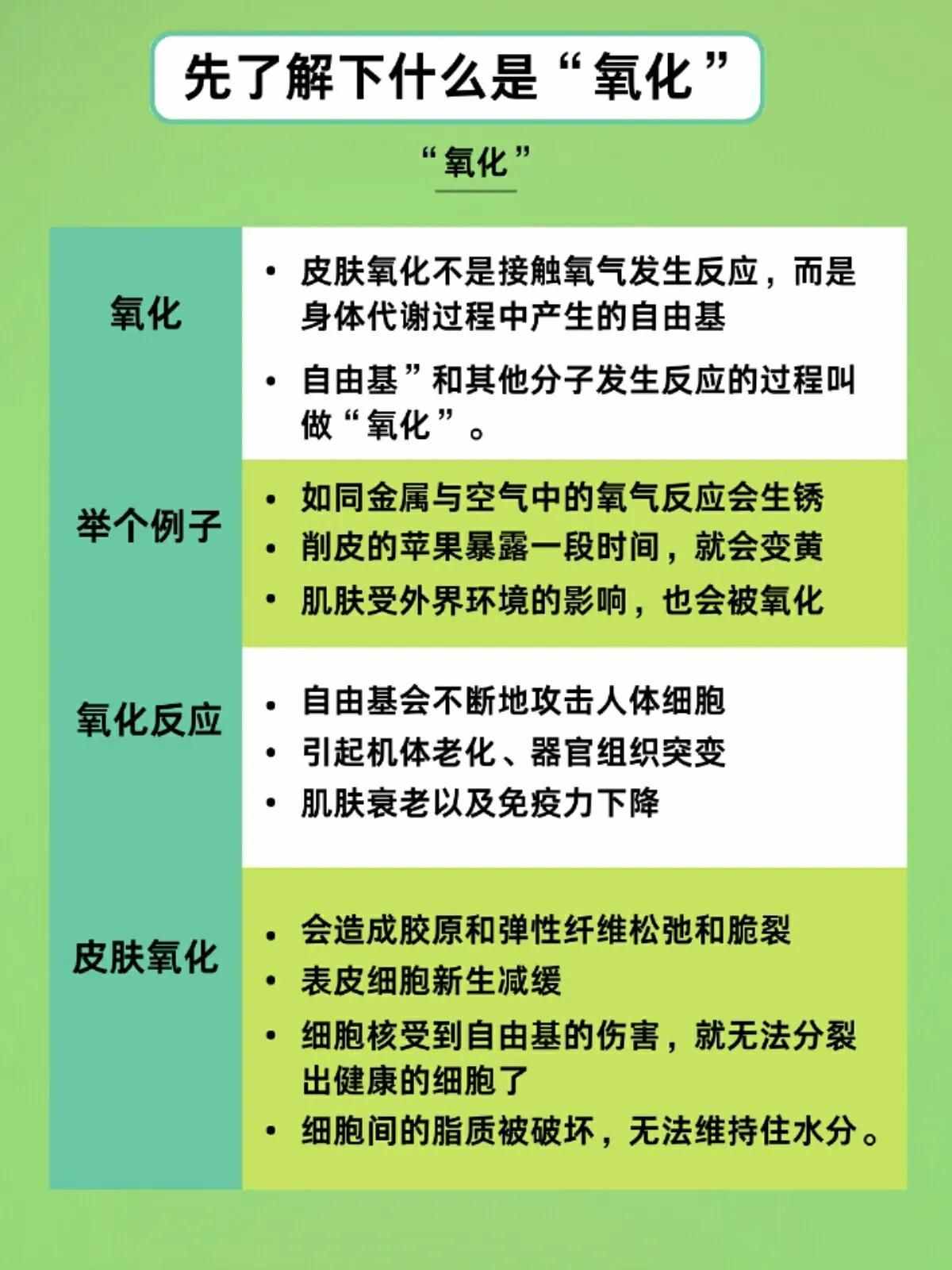 抗氧化到底是什么意思