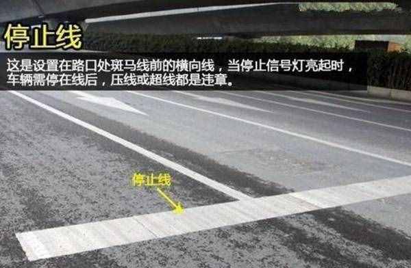 20种道路交通标志线图解，5分钟学会从此不违章！