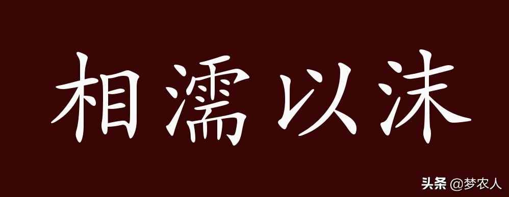 相濡以沫是什么意思（相濡以沫的出处）