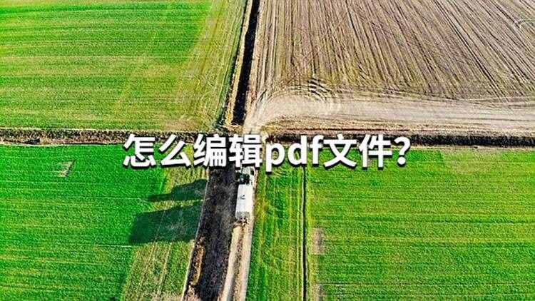 怎么编辑pdf格式的文件