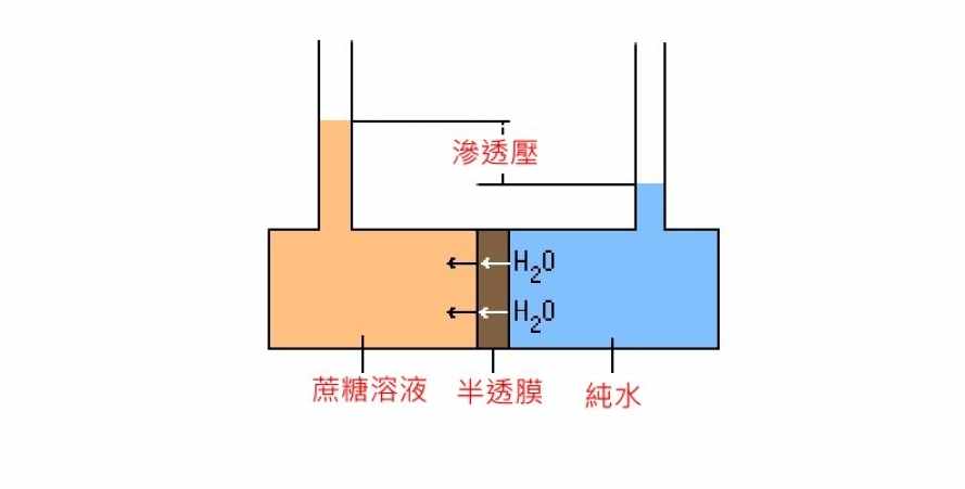 虹吸效应（恋爱成功法则——虹吸效应）