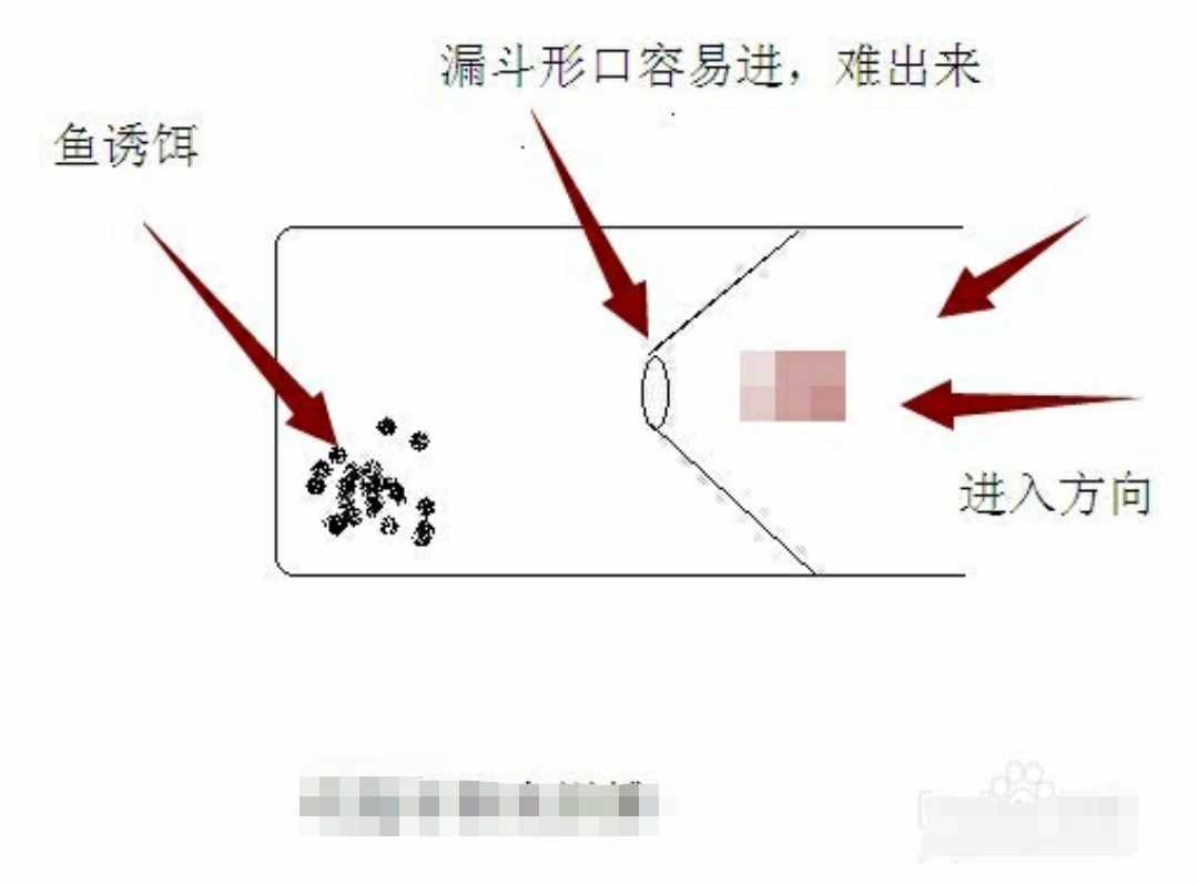 想不到饮料瓶还有这用处，制作简易捕鱼、虾工具