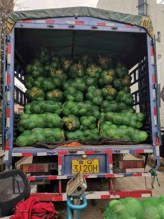 这个上海最大的蔬菜批发市场今天供应6000吨蔬菜，大白菜价格已回落至1.8元至2.0元/500克