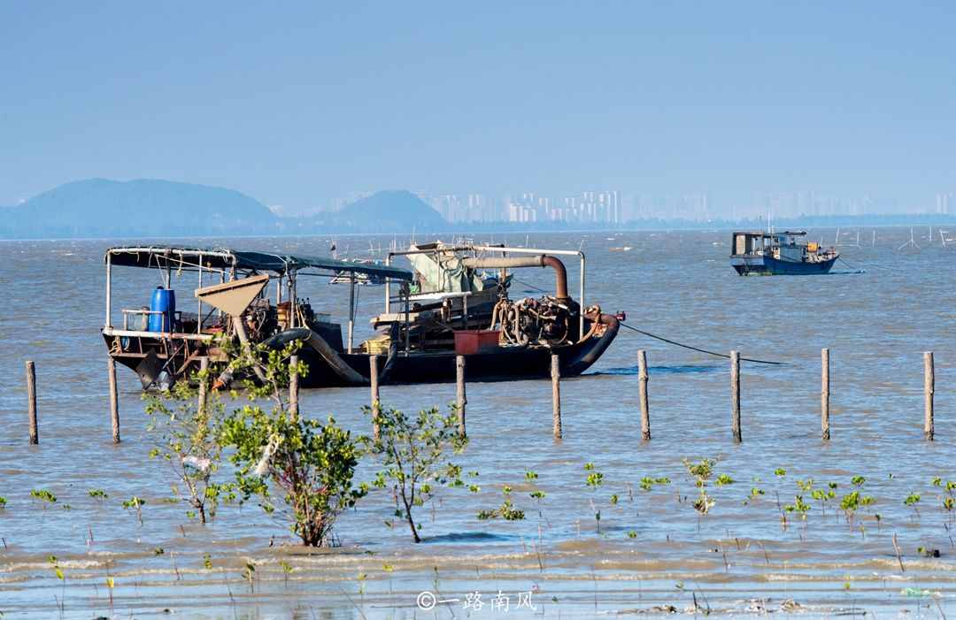 阳江海陵岛，既是广东第四大岛，也是“中国十大最美海岛”之一