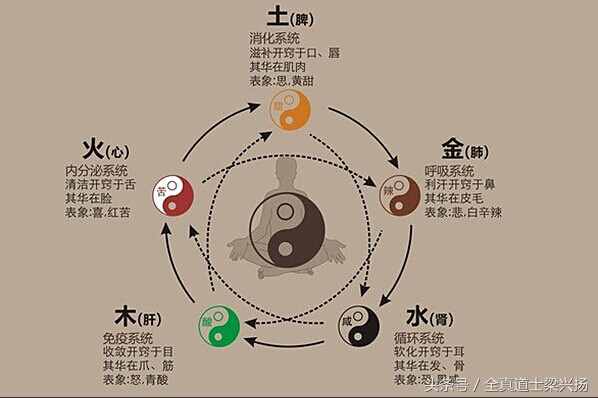 为何人脸叫五官？五官都是管什么的？