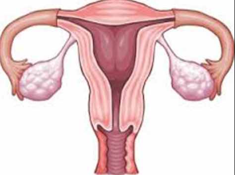 八大卵巢早衰征兆你都知道吗？看看你是否对号入座？