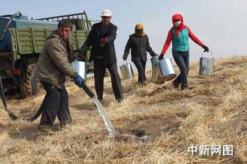 地球的“癌症”--沙漠化土壤的危害与防治