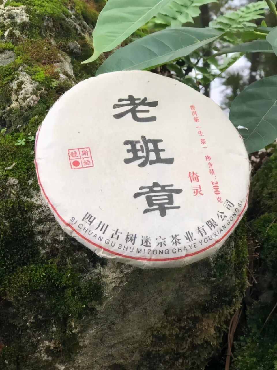 国粹与茶道