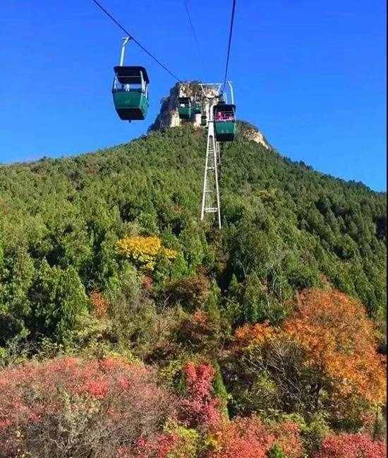 荐游 丨 枣庄好玩的景点集锦来了，赶快收藏！