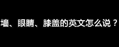 墙、眼睛、膝盖的英文怎么说？我爱你「抖音表情包」