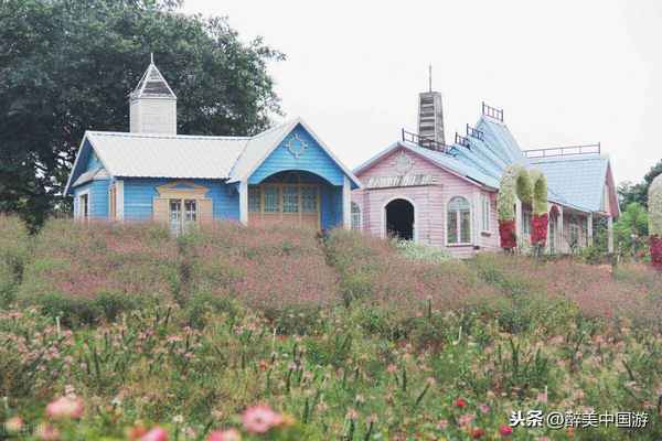 探访梦幻百花洲，大型花卉主题休闲胜地，环境优美