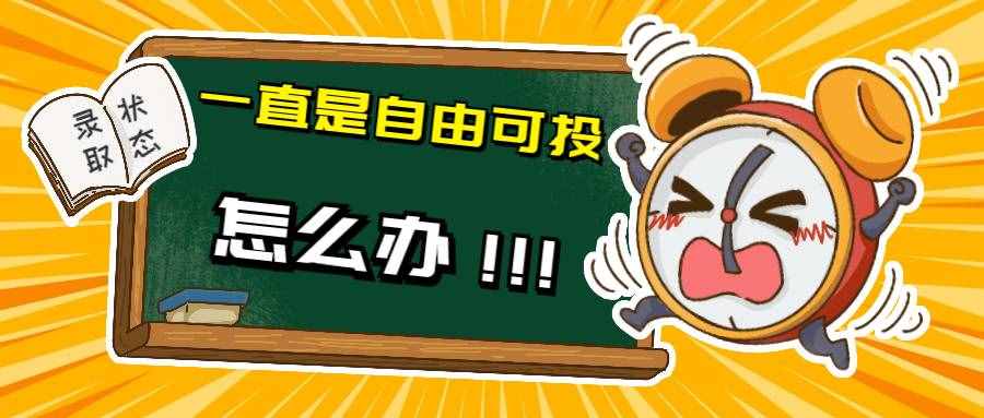 查录取一直显示“自由可投”怎么办？别慌，本文来告诉你