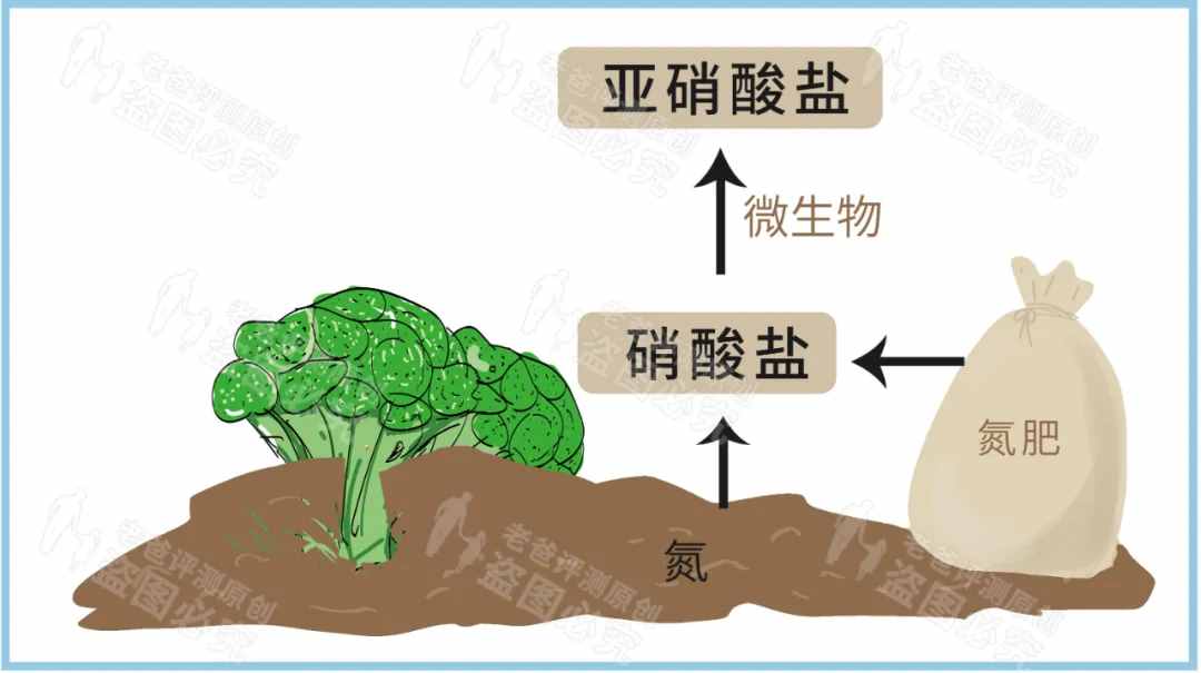 隔夜菜到底能不能吃？用实际检测数据来告诉你们