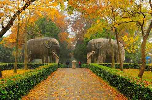 南京旅游别总去夫子庙，这5个景点更值得一去，你都去过吗？